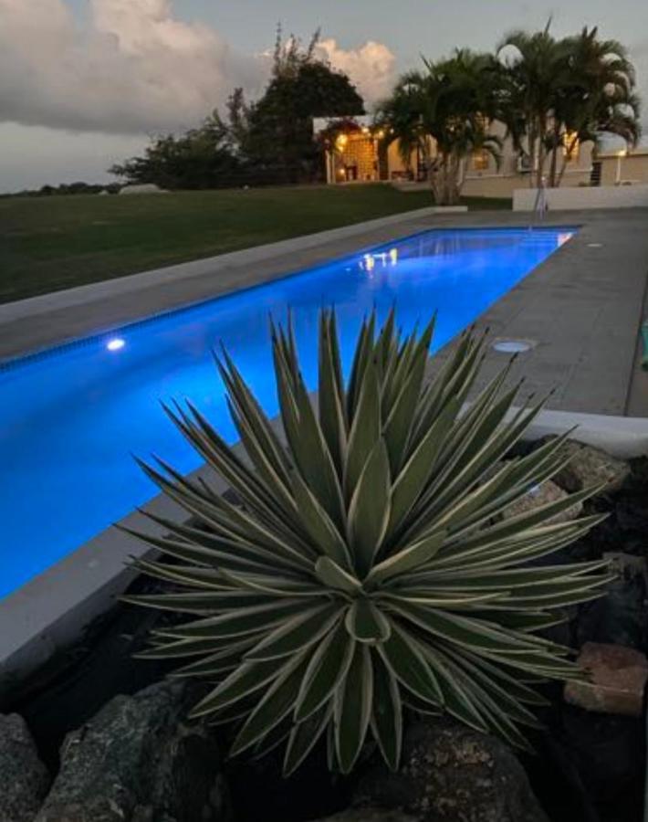 Lejos Eco Retreat Vieques Exterior foto