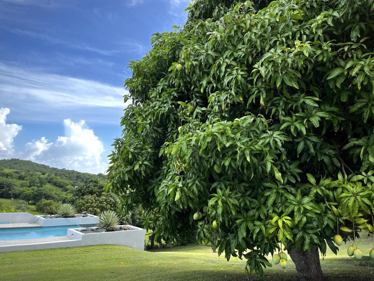 Lejos Eco Retreat Vieques Exterior foto